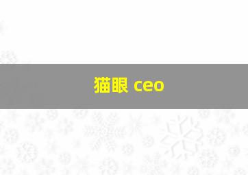 猫眼 ceo